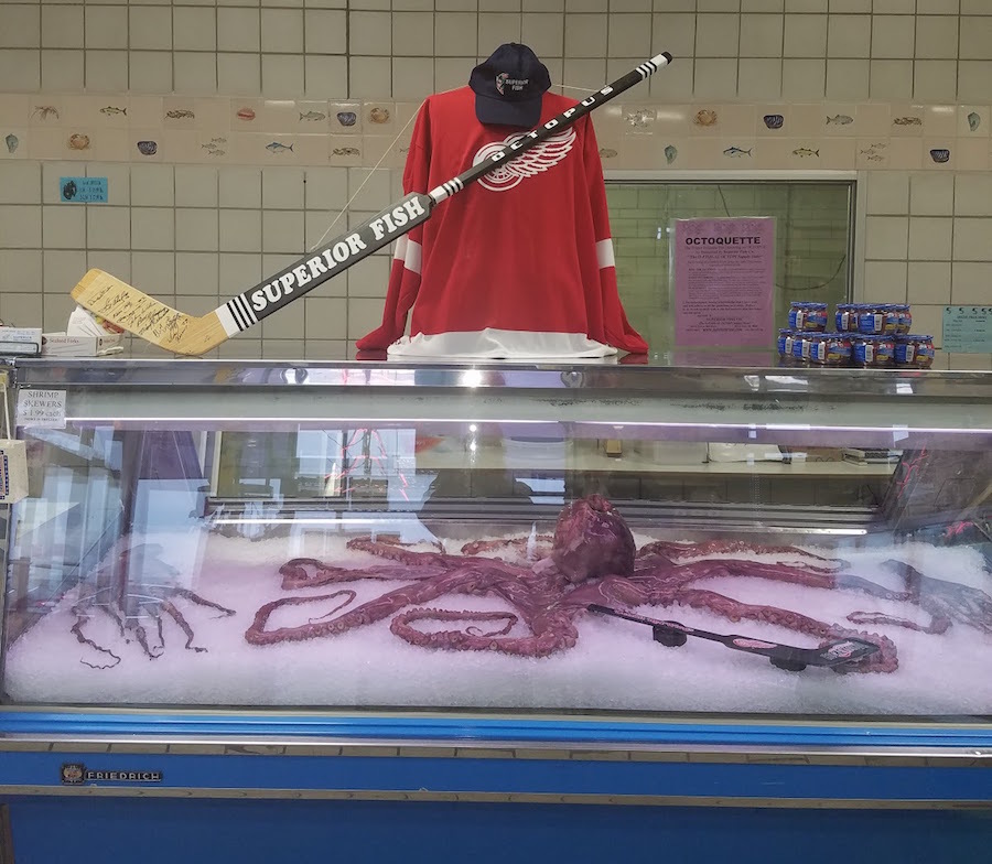 Red Wings fan shares his secret on how to get an octopus into the