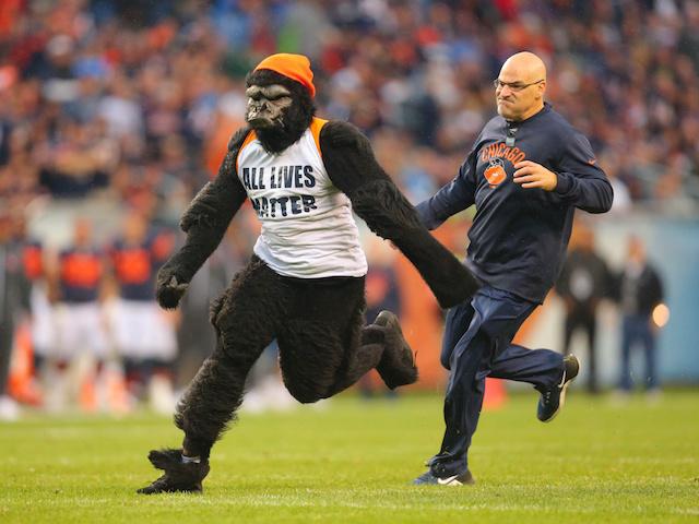 Image result for gorilla suit guy  bears game