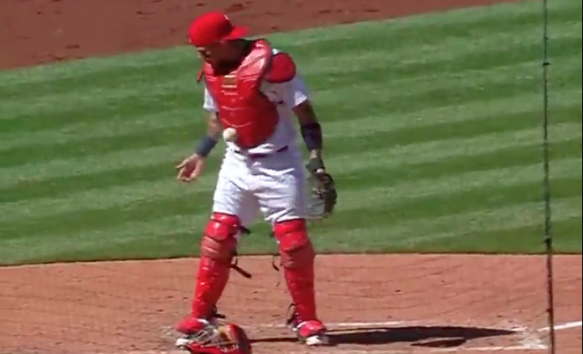 Ball sticks in chest protector of St. Louis Cardinals catcher